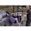 Bestcare Car Transfer Mobile Floor Lift PL350CT Bestcare Car Transfer Mobile Floor Lift PL350CT