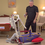 Bestcare Car Transfer Mobile Floor Lift PL350CT Bestcare Car Transfer Mobile Floor Lift PL350CT