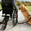 SMOOVE one 010 wheelchair Power Assist