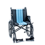 Shown in Blue