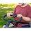 Rifton Small Adaptive Tricycle Rifton Small Adaptive Tricycle
