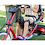 Rifton Small Adaptive Tricycle Rifton Small Adaptive Tricycle