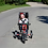 Adaptive Tricycle DCP Mini Adaptive Tricycle DCP Mini