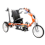 ASR16 Tricycle ASR16 Tricycle