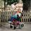 Zippie TS by Sunrise Zippie TS by Sunrise