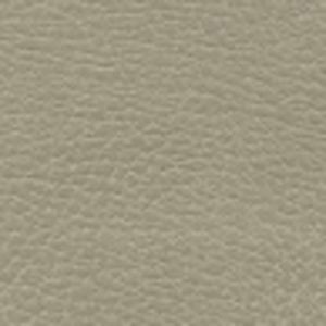 Click to see a larger image of this fabric Distressed Ranchwood
