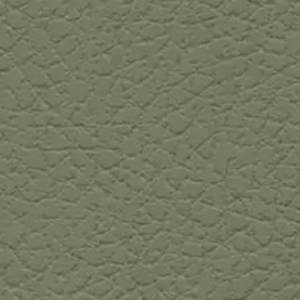 Click to see a larger image of this fabric Dill