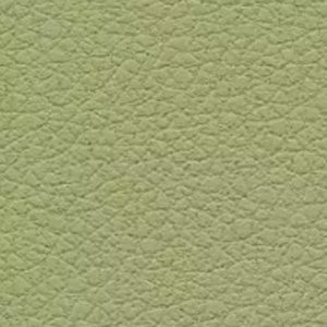 Click to see a larger image of this fabric Celery