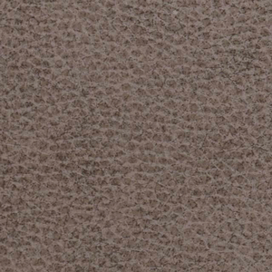Dusk- Grey