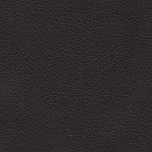Click to see a larger image of this fabric Black Onyx