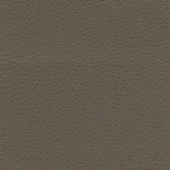 Click to see a larger image of this fabric Shiitake