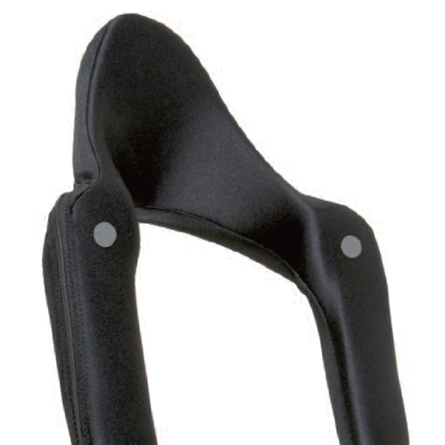 Whitmyer Heads Up Headrest System