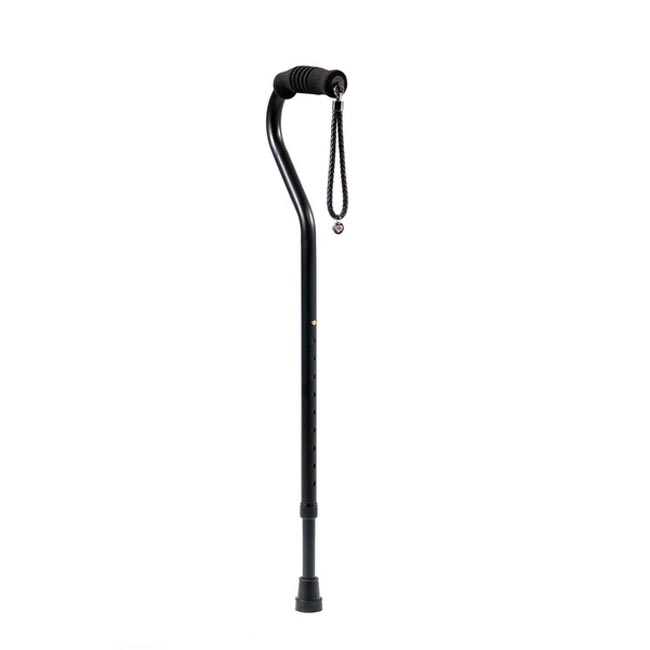 Classic Cane in Black Classic Cane in Black