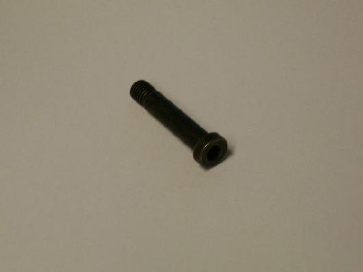 Arm Screw