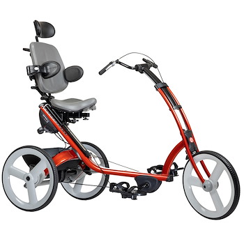 Large Adaptive Tricycle